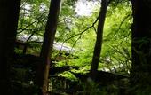 Туры в отель Hakone Retreat Fore