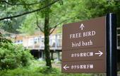 Туры в отель Hakone Retreat Fore