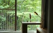 Туры в отель Hakone Retreat Fore
