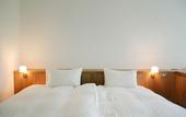 Туры в отель Hakone Retreat Fore