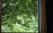 Туры в отель Hakone Retreat Fore