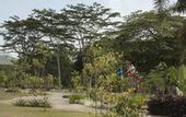 Туры в отель The Wujil Resort & Conventions