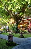 Туры в отель Puri Pangeran Hotel Yogyakarta