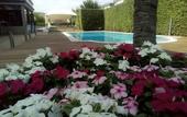 Туры в отель Hotel Palazzo Del Garda & Spa