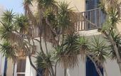 Туры в отель Milos Hotel