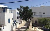 Туры в отель Milos Hotel