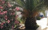 Туры в отель Milos Hotel