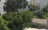 Туры в отель Milos Hotel