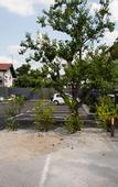 Туры в отель Hotel Cool Zagreb Airport