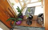 Туры в отель Hotel Maison Lacassagne