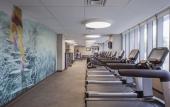 Туры в отель The Westin Sarasota