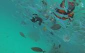 Туры в отель Acqua Blu Rasdhoo