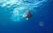 Туры в отель Acqua Blu Rasdhoo