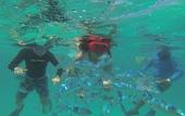 Туры в отель Acqua Blu Rasdhoo