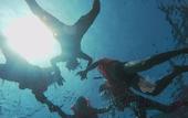 Туры в отель Acqua Blu Rasdhoo