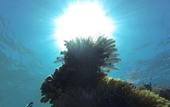 Туры в отель Acqua Blu Rasdhoo