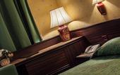 Туры в отель Hotel Leonardo Da Vinci