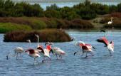 Туры в отель Sardegna Hotel, Suites & Restaurant