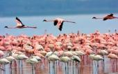 Туры в отель Sardegna Hotel, Suites & Restaurant