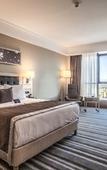 Туры в отель Radisson Blu Hotel Diyarbakir