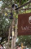 Туры в отель Wilsons Retreat