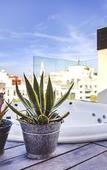 Туры в отель Alma Historica Boutique Hotel