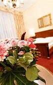 Туры в отель Hotel Schild