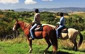 Туры в отель Castello di Tornano Wine Resort