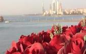 Туры в отель Oceanwide Elite Hotel