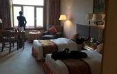 Туры в отель Oceanwide Elite Hotel
