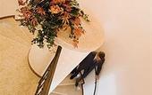 Туры в отель Hotel Purlilium