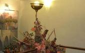 Туры в отель Hotel Clarean
