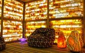 Туры в отель Pannonia Hotel