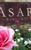 Туры в отель Asara Wine Estate & Hotel