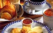 Туры в отель Hotel Potenza