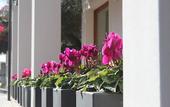 Туры в отель Hotel Angedras