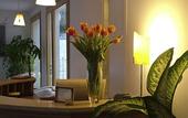 Туры в отель Hotel Angedras
