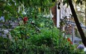 Туры в отель El Balcon
