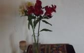 Туры в отель El Balcon