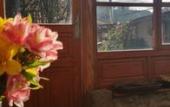 Туры в отель El Balcon