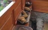 Туры в отель El Balcon