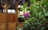 Туры в отель El Balcon