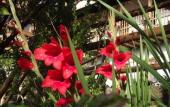 Туры в отель El Balcon