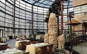 Туры в отель Heyuan Royal Garden Hotel