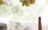 Туры в отель Heyuan Royal Garden Hotel