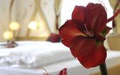 Туры в отель ABINEA Dolomiti Romantic Spa Hotel
