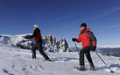 Туры в отель ABINEA Dolomiti Romantic Spa Hotel