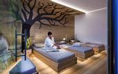 Туры в отель ABINEA Dolomiti Romantic Spa Hotel