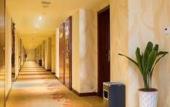 Туры в отель Junge Hotel