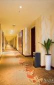 Туры в отель Junge Hotel